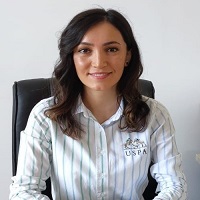 Melek Hava Koprulu