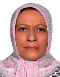 Sedegheh Malek Mohammadi