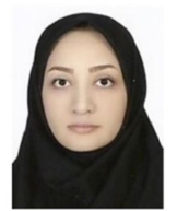  Zohreh Izadidastenaei