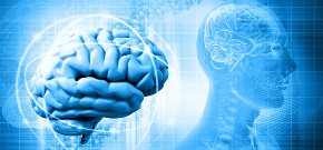 Neuroscience
