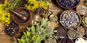 Traditional Medicine