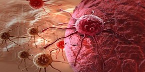 Oncology & Cancer
