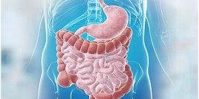 Gastroenterology