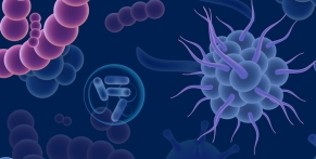 Infectious Diseases