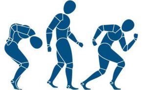Physical Therapy Rehabilitation