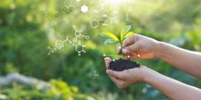 Plant Sciece