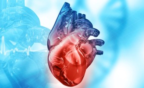 5th World Heart Congress